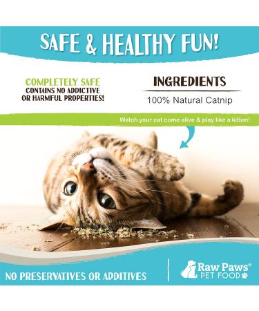 Raw Paws Pet Natural Catnip 1-oz - Premium Loose Catnip Leaf for Cats - Potent Refill for Toys - Cat Catnip Herb Dried - Buy Online on GoSupps.com