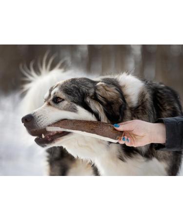 EZ Antler Chews - Moose Antlers for Dogs - Large Whole - Dogs under 85lbs - Long Lasting Dog Treats Dog Chews - Marrow Bone Dog Treats - Naturally Shed - Preservative Free Cruelty Free Antler Dog Chew 1 count (Pack of 1) - Buy Online on GoSupps.com