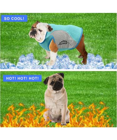 Dog Cooling Vest - Summer Breathable Mesh Jacket for Small to Medium Dogs (XL Green) | Ice Cooling T-Shirt with Reflector Strips - Buy Online on GoSupps.com