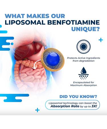 Liposomal Benfotiamine with Vitamin B6 Vitamin B12 Alpha Lipoic Acid Curcumin - Support Healthy Metabolism Energy Levels- Made and Tested in The USA 150 count (pack of 1) - Buy Online on GoSupps.com