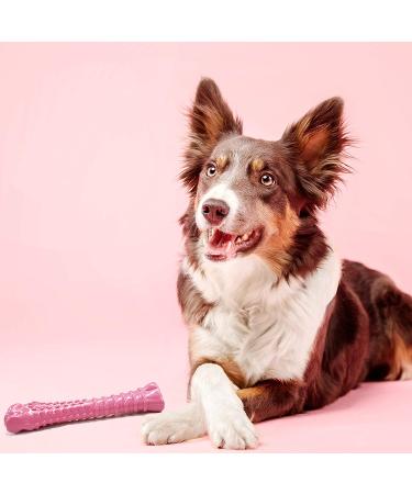 Nylabone Power Chew Breast Cancer Awareness Pink Dog Toy - Chicken Souper Chew - Buy Online on GoSupps.com