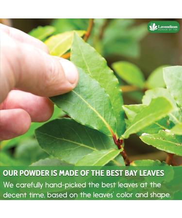 Lavendium Premium 100g (3.52oz) Bay Leaf Powder Unprocessed Ground Bay Leaves Dried 100% Natural & Pure from Bay Leaves Bay Leaf Spice No Additives No Gluten Vegan. - Buy Online on GoSupps.com
