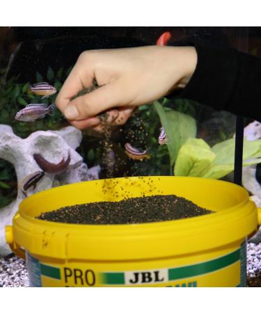 JBL PRONOVO MALAWI GRANO M 5.5l - Buy Online on GoSupps.com