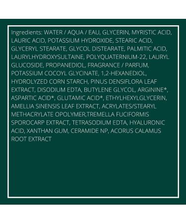 Innisfree Green Tea Hyaluronic Acid Face Cleanser 5.07 Fl. Oz - New Formula - Buy Online on GoSupps.com