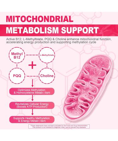 Bundle: Algae Omega 3 Gummies 1 Pack & Methyl B12 + L-Methylfolate Gummies 1 Pack - Buy Online on GoSupps.com