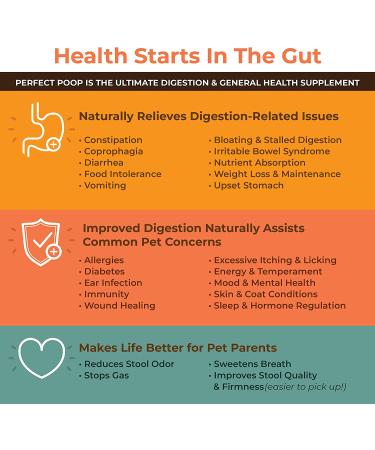 Perfect Poop Digestion Supplement for Dogs - Fiber, Prebiotics, Probiotics, Enzymes - Improve Digestive Health & Stool Quality - Cheddar Cheese Flavored - 12.8 oz - Buy Online on GoSupps.com