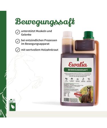 EWALIA Bewegungssaft Premium Supplement for Horses to Support the Musculoskeletal System - Naturally Promotes General Well-Being with Medicinal Herbs - Buy Online on GoSupps.com
