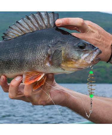 BESPORTBLE 12PCS Luminous Carp Fishing Feeder Catfish Bait Thrower - Fishing Bait Cage - Buy Online on GoSupps.com