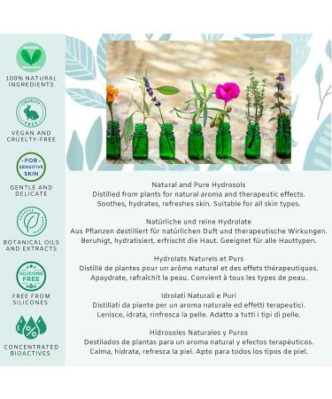 Verdebleu - Hydrating Aloe Rose Water - Hydrating and Aromatic Cleanser Toner Primer to Scent and Refresh. We Donate 5% of Profit to Help Save Rainforests. 250ml - Buy Online on GoSupps.com