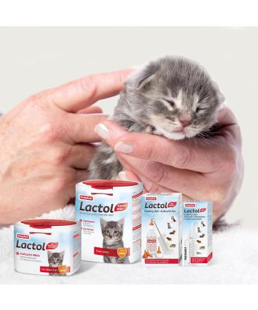BEAPHAR Lactol Rearing Milk for Cats - 250g | Best Nutritional Formula for Kittens | International Shipping Available - Buy Online on GoSupps.com