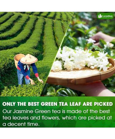 Lavendium Premium 75 JasmineGreen Tea Bags 100% Natural & Pure from Jasmine Green Tea. Jasmine Green Herbal Tea. Made with Natural Material Tea Bags. No Sugar No Gluten Vegan. - Buy Online on GoSupps.com