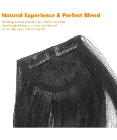 Clip in Fringe Clip in Bangs for Women Hair Extensions with Temples Hairpieces Fashion Thick Full Front Synthetic Clip on Fringe Bangs Clip Hair Pieces for Daily Wear Y7HLHJF black - Buy Online on GoSupps.com