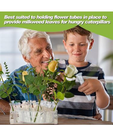 50 Pcs Floral Water Tubes with Rack Holder - Flower Vials for Milkweed Cuttings and Arrangements - Buy Online on GoSupps.com
