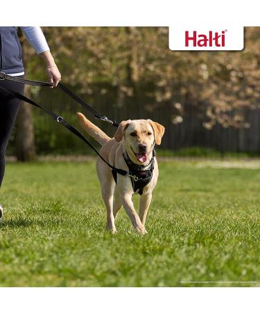 Halti Training Lead Large Black 2m - Professional Double-Ended Dog Leash for Puppy Walks - Buy Online on GoSupps.com