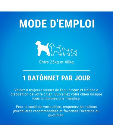 DENTALIFE Maxi Multipack for Large Dogs 72 Chew Snacks (2 x 1272g) Everyday Oral Hygiene - 1.27kg - Buy Online on GoSupps.com