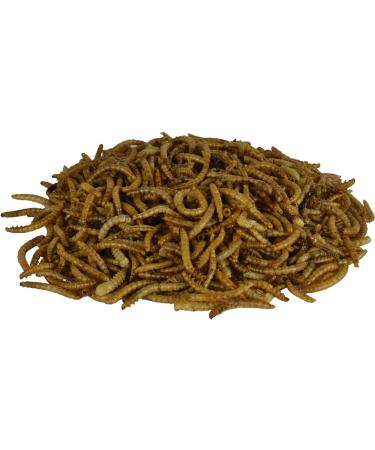 Supa Dried Mealworms for Wild Birds 1 Litre Bucket | High Energy Protein Rich Treat For Garden Birds | Attract More Birds To Your Garden | Quality Wild Bird Food Mealworm 1 l (Pack of 1) - Buy Online on GoSupps.com