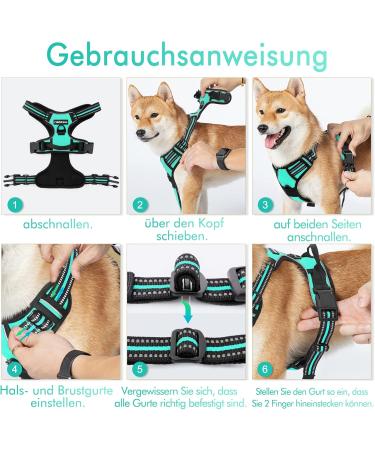 Rabbitgoo Medium Dog Harness - No Pull Adjustable Breathable Control Harness for Large Dogs - Reflex Stripes Safe Guide in Mint Green (1 Pack) - Buy Online on GoSupps.com