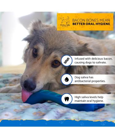 Perky Tails Indestructible Dog Toys for Large Dogs - Large Dog Toys Built for Aggressive Chewers & Canine Vision - Hard Dog Toys with Delicious Bacon Flavour 1-pack Single Pack Large - Buy Online on GoSupps.com