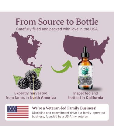 Bella Terra Oils - Black Raspberry Seed Oil 8 oz - Natural Elixir Enhanced with Ellagic Acid & Vitamin A Cold-Pressed Cosmetic Secret for Radiant Skin 8 Fl Oz (Pack of 1) - Buy Online on GoSupps.com