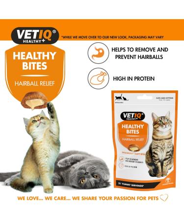 VetIQ Healthy Bites Hairball Remedy Cat Treats 8x 65g Helps Prevent & Remove Cat Hairballs Cat Supplement with No Artificial Ingredients Cat & Kitten Health Omega 3 & 6 Fatty Acids Chicken 65 g (Pack of 8) - Buy Online on GoSupps.com