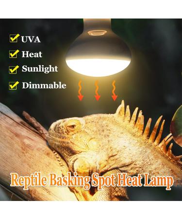 MIXJOY 2 Pack Reptile Heat Lamp 100W UVA Daylight Basking Spot Light Amphibians Basking Bulbs Heat Lamps Heat Lamp Bulbs for Reptiles Lizard Tortoise Bearded Dragon - Buy Online on GoSupps.com