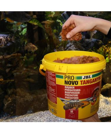 JBL PRONOVO TANGANYIKA FLAKES M 5 5l - Buy Online on GoSupps.com