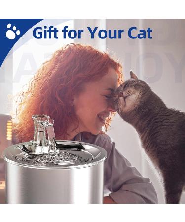 Homtyler Stainless Steel Cat Water Fountain - Ultra-Quiet Pump, 2L Capacity, Automatic Dispenser for Multiple Pets - Buy Online on GoSupps.com