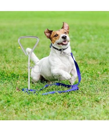 Balacoo Pet Stake Spiral Tie-Out Pet Supply Stake Dog Leash Anchor Stakes with Spiral Shape Suitable for Outdoor Yard and Camping Small Medium and Large Pets - Buy Online on GoSupps.com