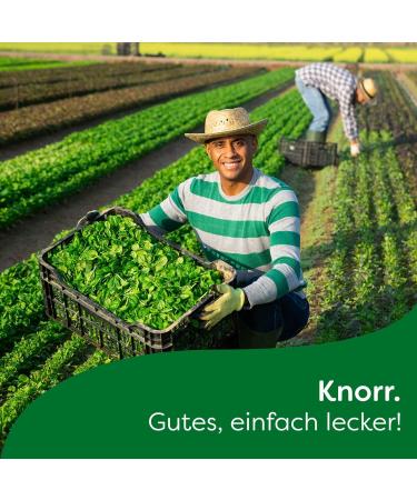 Yellow Garten-kr uter Salat-kr nung - Pr paration pour Vinaigrette Allemagne aux herbes du jardin 5 sachets - Salade pr te en un instant - Compatible avec Knorr - 55g - Buy Online on GoSupps.com
