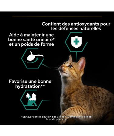 PRO PLAN Adult Sterilized Beef Chicken 10x85g - Buy Online on GoSupps.com