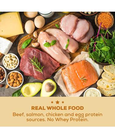 MRE Lite Protein Powder - Dutch Apple Pie Flavor | Meal Replacement Option - Buy Online on GoSupps.com