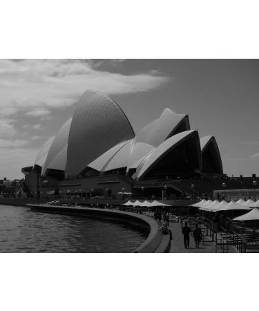  C&T Coffee Globetrotter Real Rarities Australia Skybury Extra Fancy 500g (Medium Earth) - Coffee Rarities Premium - Become a Discovery! - Buy Online on GoSupps.com