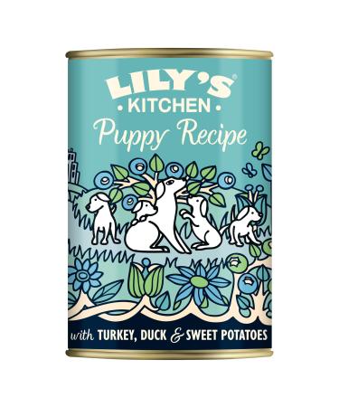 Lily's Kitchen Natural Wet Puppy Food with Duck & Turkey Grain Free Recipe (6 x 400g Can)