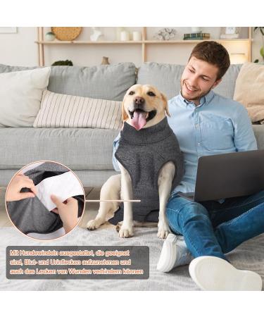 Dogebody After Surgery One-Piece Dog Diaper - Recovery Suit for Male & Female Dogs Leak Protection & Wound Care - Buy Online on GoSupps.com