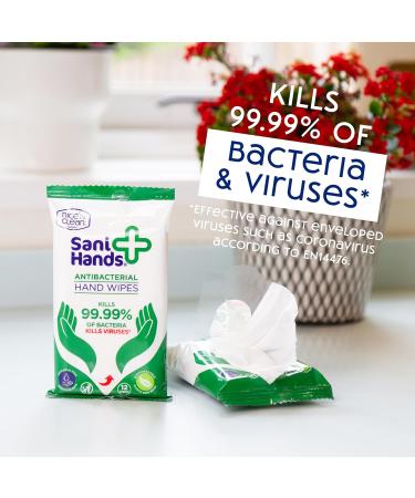 Sani Hands - Anti-bacterial Hand Wipes - Dermatologically Tested Non-Sticky Biodegradable Wet Wipes - 12x40 Wipes (480 Wipes) Sani Hands 480pk - Buy Online on GoSupps.com