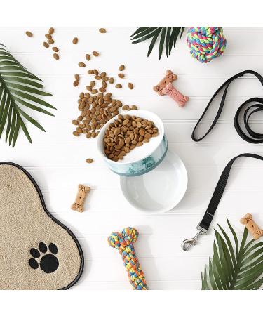 Bone Dry Pet Bowl Collection - Small Marble Ceramic Set (2 Count, Teal) - 6x2 Medium Size - Buy Online on GoSupps.com