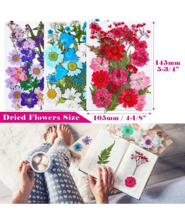 Thrilez 100Pcs Pressed Dried Flowers for Resin Molds - Natural Flower Herbs Kit for Scrapbooking, Card Making, Resin Jewelry, Soap & Candle Making (Blue Purple Red) - Buy Online on GoSupps.com