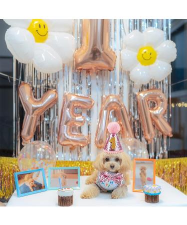 Dher Pet Birthday Set - Pink Sequin Hat & Party Decoration for Dogs & Cats | Festive Birthday Accessories - Buy Online on GoSupps.com