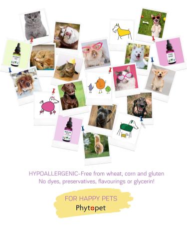 Phytopet Skin Aid 30ml - Veterinary Supplement for Dogs, Cats, Horses - Internal Support for Healthy Skin - Eczema, Dry, Flakey Skin Relief - Buy Online on GoSupps.com