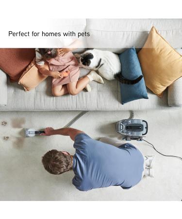 Vax Spotwash Antibacterial 1L Solution Kills 99% of Bacteria Breaks Down and Lifts Tough Stains CarpetGuard Stain Protection Neutralises Odours - Buy Online on GoSupps.com