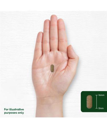 Dandelion Tablets 1500mg | High Strength Dandelion Root Extract | Liver & Digestion Support | 120 Vegan Tablets | by Carlyle - Buy Online on GoSupps.com
