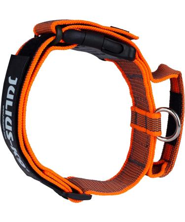 Julius-K9 Color & Gray Collar with Handle Safety Lock & Interchangeable Patch 40mm (38-53cm) - Orange Gray - Buy Online on GoSupps.com