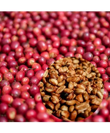 La Miel - Buy Online on GoSupps.com