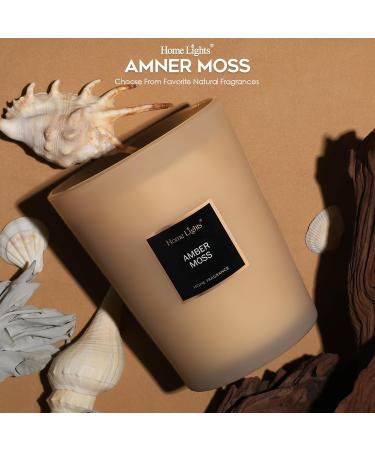 HomeLights Scented Candles | Large Jar Aromatherapy Natural Soy Wax 130 Hours Burn Time Perfect Gift - Amber Moss - Buy Online on GoSupps.com