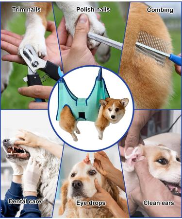 Kkiimatt Pet Care Hammock Harness for Small Dogs | Dog Nail Trim Hammock with Nail Clipper & Hooking Mat (X-Large 30kg Max Turquoise) - Shop Now! - Buy Online on GoSupps.com
