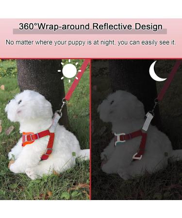 Rennaio No Pull Dog Harness & Leash Set | Adjustable Puppy Dishes with Linen Clips | Ultra Comfortable for Small & Medium Dogs - Red L - Buy Online on GoSupps.com