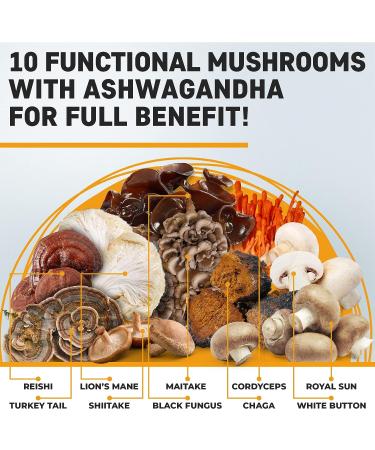 Nutriyum Mushroom Gummies 10 Blend 120 pcs - Immune Energy Clarity Supplement - Buy Online on GoSupps.com