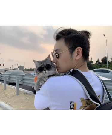 2 Pcs Classic Retro Pet Glasses Pet Sunglasses Pet Eyewear for Dog Cat Cosplay Photos Props - Buy Online on GoSupps.com