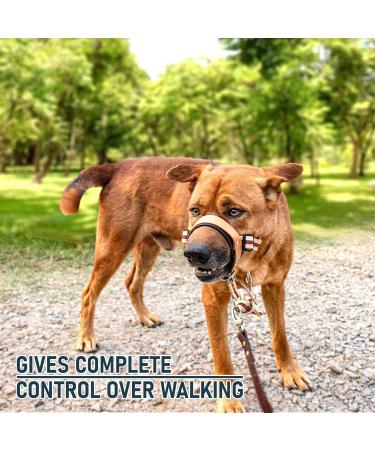 Alpha Boy Dog Training Collar | Comfortable Real Leather Harness for All Breeds | Easy-to-Use with Quick Lock Buckle (XXL) - Buy Online on GoSupps.com