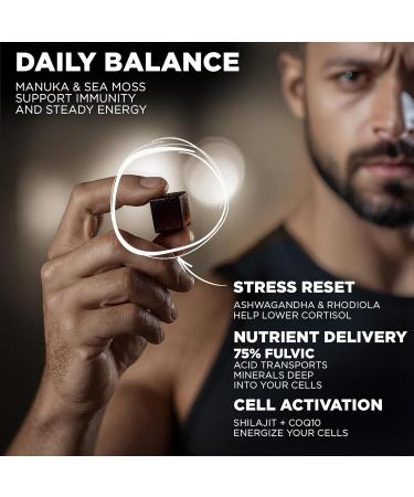 Performance Shilajit Gummies with CoQ10 and Ashwagandha Pure 7-in-1 Formula with 75% Fulvic Acid & 92+ Minerals For Men & Women Energy Focus & Stress Support 60 Sugar-Free Himalayan Gummies - Buy Online on GoSupps.com